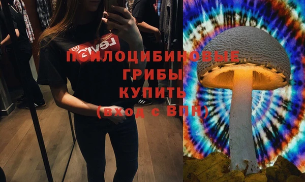 дмт Абдулино