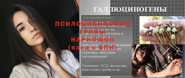 круглые Абаза