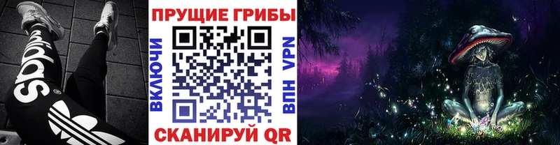 ссылка на мегу рабочий сайт  Белоусово  Галлюциногенные грибы Psilocybine cubensis 